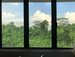 Blk 114 Depot Road (Bukit Merah), HDB 5 Rooms #172219052